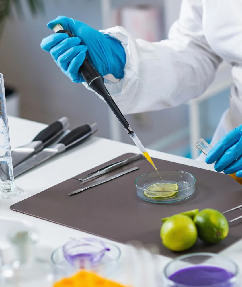 Alimentos preparados para análisis