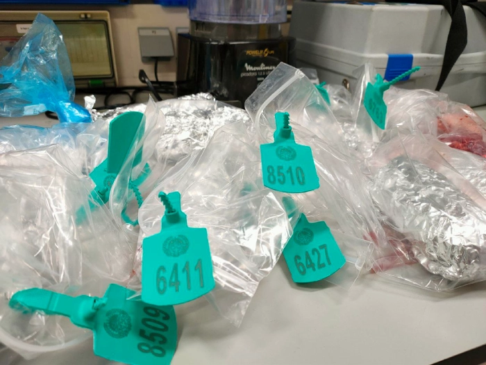 Análisis de muestras en el laboratorio agroalimentario