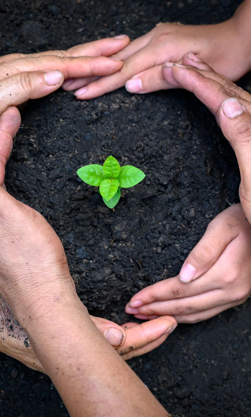 Compromiso medioambiental de Soningeo