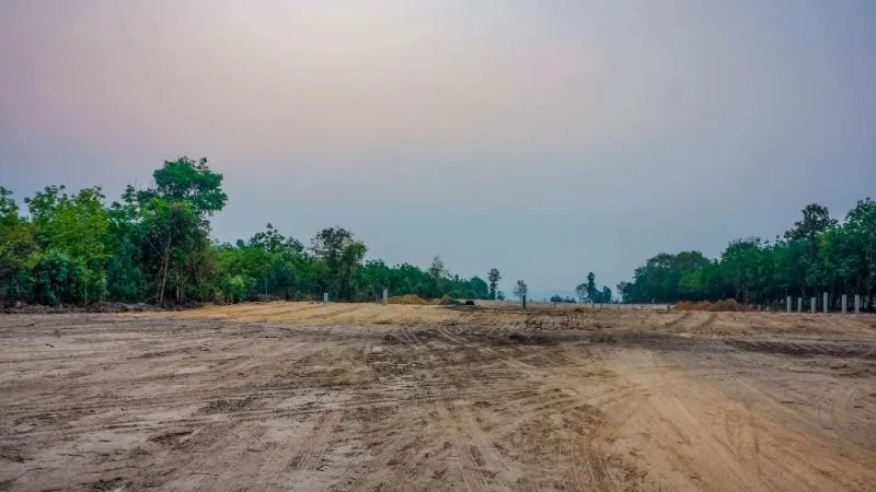 Ensayos «in situ»