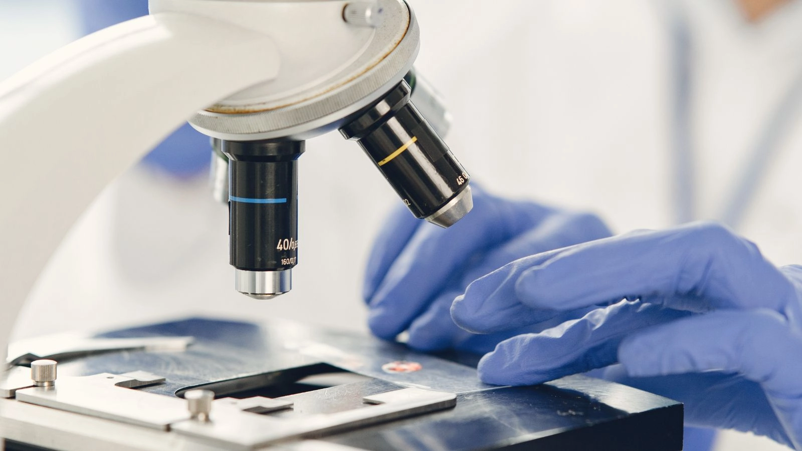 Laboratorio de Soningeo